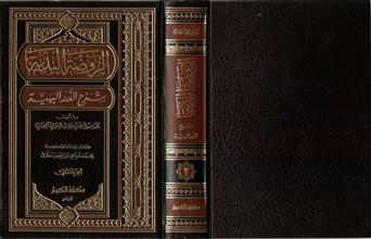 الروضة الندية شرح الدرر البهية ج2