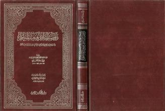 روضة الناظر و جنة المناظر