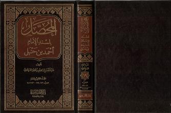 المحصل لمسند الإمام أحمد بن حنبل ج19
