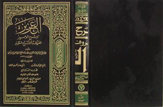 العزيز شرح الوجيز ج7