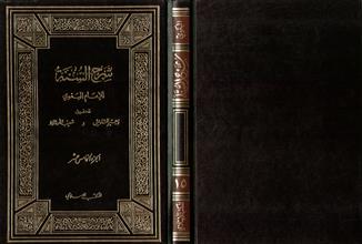 شرح السنة-ج15