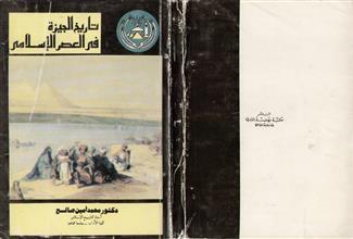 تاريخ الجيزة في العصر الإسلامي