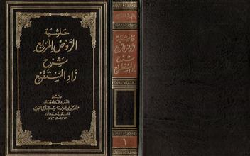 حاشية الروض المربع شرح زاد المستقنع المجلد الاول
