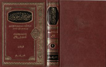 صحيح إبن خزيمة -الجزء الثاني