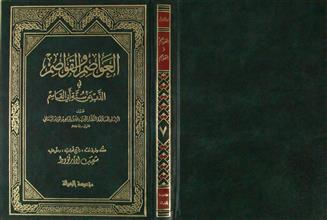 العواصم و القواصم في الذب عن سنة أبي القاسم ج7