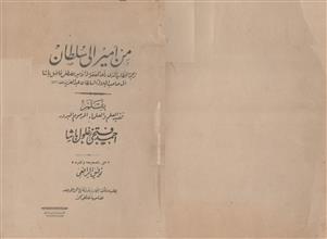 من أمير إلى سلطان