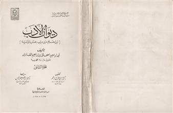 ديوان الأدب ج2