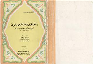 النفع الغزير في صلاح السلطان والوزير