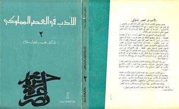 الأدب في العصر المملوكي 2