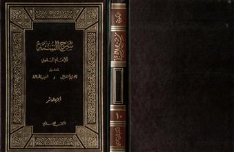 شرح السنة-ج10