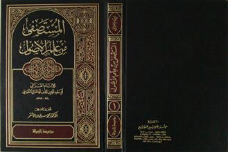المستصفى من علم الأصول ج1