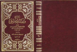 تاريخ مدينة دمشق ج20