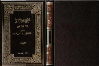 شرح السنة-ج8
