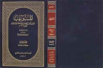 المستوعب م2