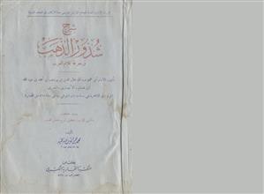 شرح شذور الذهب في معرفة كلام العرب