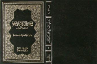 حاشية العلامة الصاوي على تفسير الجلالين ج3