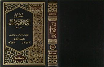 مسند الإمام أحمد بن حنبل ج14