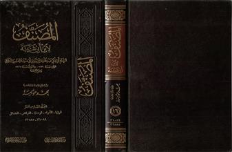 المصنف 16