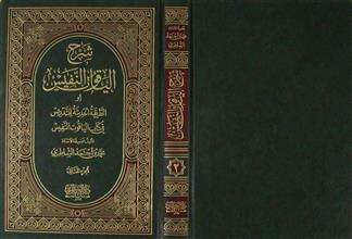 شرح الياقوت النفيس ج2