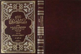 تاريخ مدينة دمشق ج12