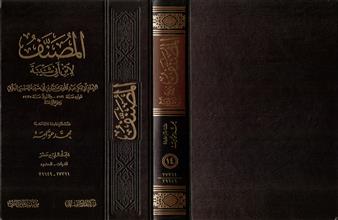 المصنف لأبن أبي شيبة -المجلد14