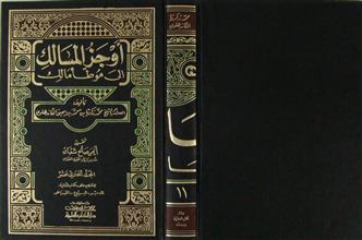 أوجز المسالك إلى موطأ مالك ج11
