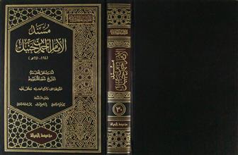 مسند الإمام أحمد بن حنبل ج30