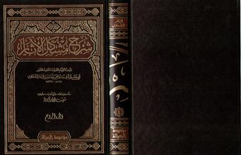 شرح مشكل الأثار 4