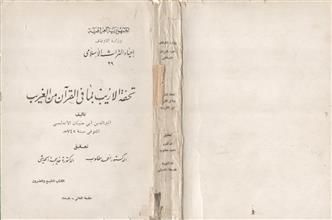 تحفة الأريب بما في القرآن من الغريب