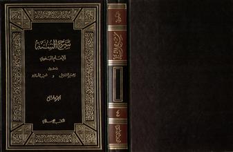 شرح السنة-ج4