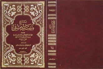 تاريخ مدينة دمشق ج14