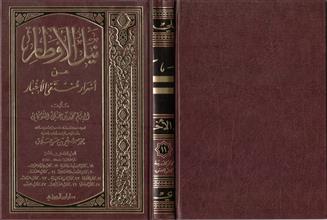 نيل الأوطار من اسرار منتقى الأخبار 11