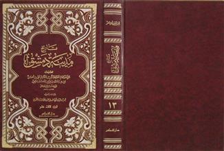 تاريخ مدينة دمشق ج13