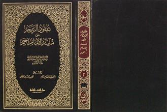 عقود الزبرجد على مسند الإمام أحمد ج2