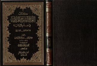 كتاب الغاية في شرح الهداية في علم الرواية ج2