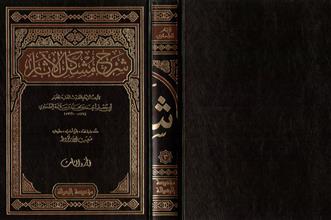 شرح مشكل الأثار 3