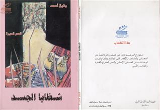 شظايا الجسد