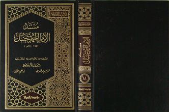 مسند الإمام أحمد بن حنبل ج18