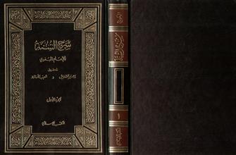 شرح السنة-ج1