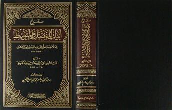 شرح أبيات المفصل و المتوسط