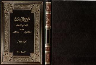 شرح السنة-ج16