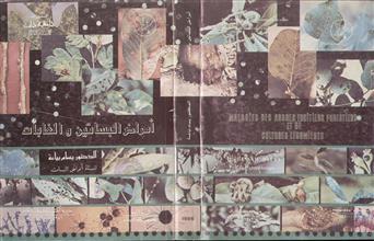 أمراض البساتين والغابات