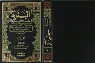 البناية شرح الهداية ج10