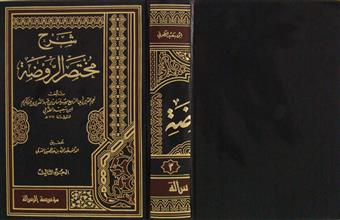 شرح مختصر الروضة ج3