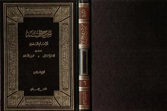 شرح السنة-ج6