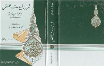 شرح أبيات المفصل ج2
