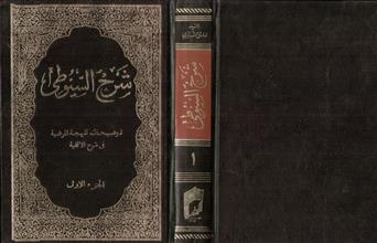 شرح السيوطي ج1