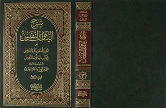 شرح الياقوت النفيس ج3