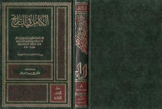 الكامل في التاريخ م8