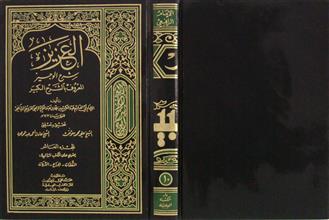 العزيز شرح الوجيز ج10